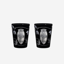 Load image into Gallery viewer, Night Owl Tumbler - Set of 2