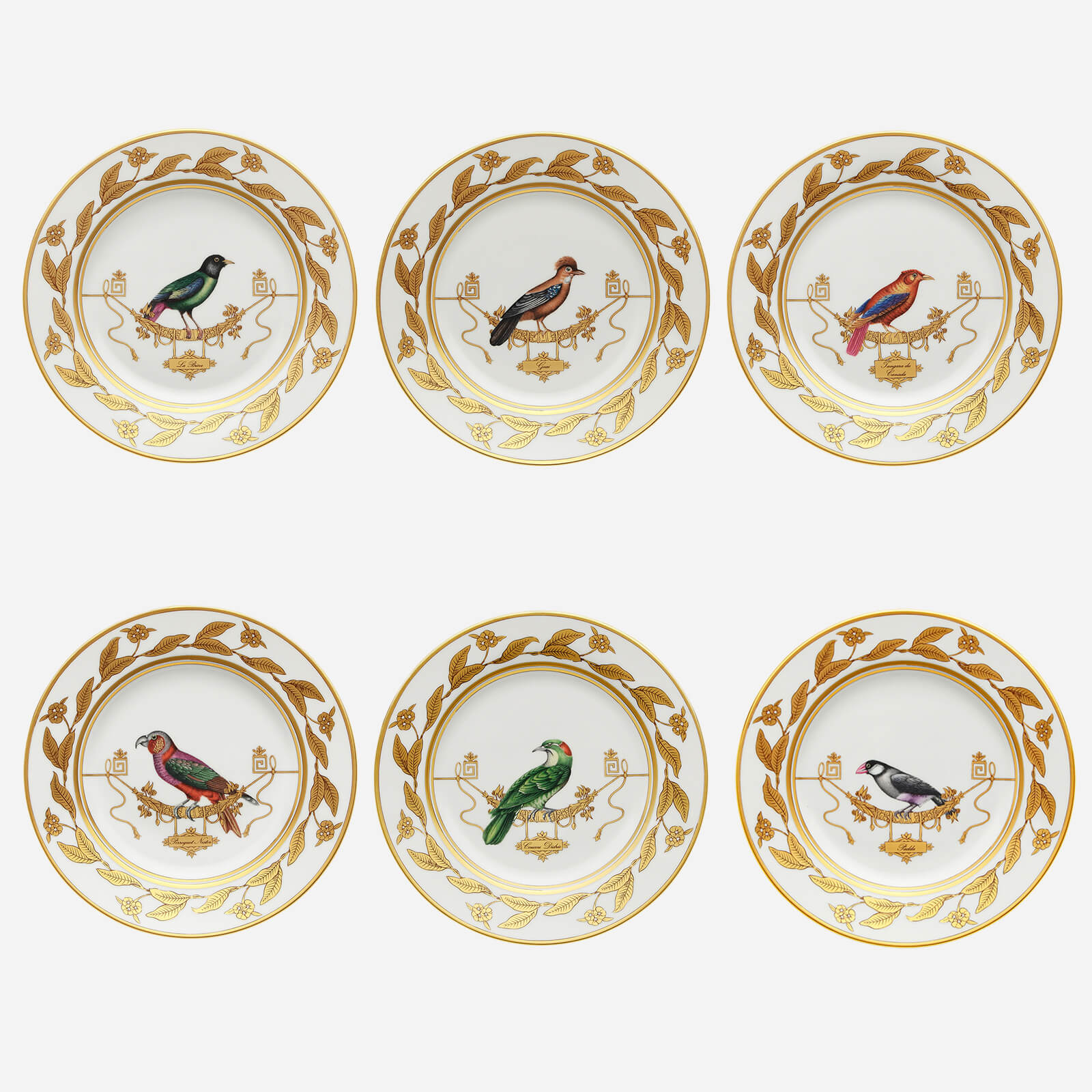 Bonadea | Ginori 1735 | Volière Bird Dessert Plate - Set of 6