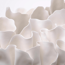 Load image into Gallery viewer, Antholia White Centrepiece