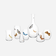 Load image into Gallery viewer, Hand-painted Butterfly Low Tumbler - 2 Butterflies