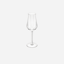 Load image into Gallery viewer, Twist 1586 Young Spirits Tasting Set
