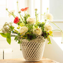 Load image into Gallery viewer, Helena Cachepot