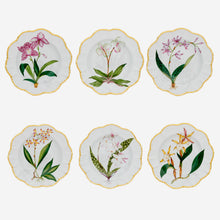 Load image into Gallery viewer, alberto pinto hand painted histoires orchidees plates bonadea