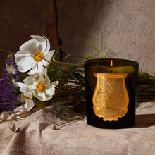 Load image into Gallery viewer, Cyrnos Scented Candle Cire Trudon Bonadea