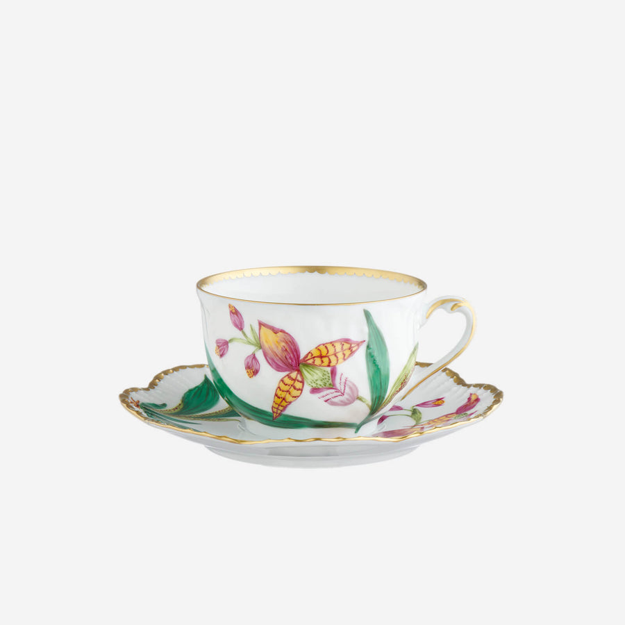 Alberto Pinto Histoires d'Orchidées Teacup & Saucer