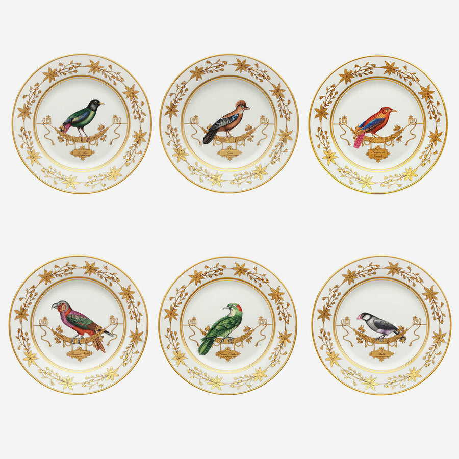 Ginori 1735 Volière Bird Dinner Plate - Set of 6