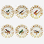 Volière Bird Dinner Plate - Set of 6