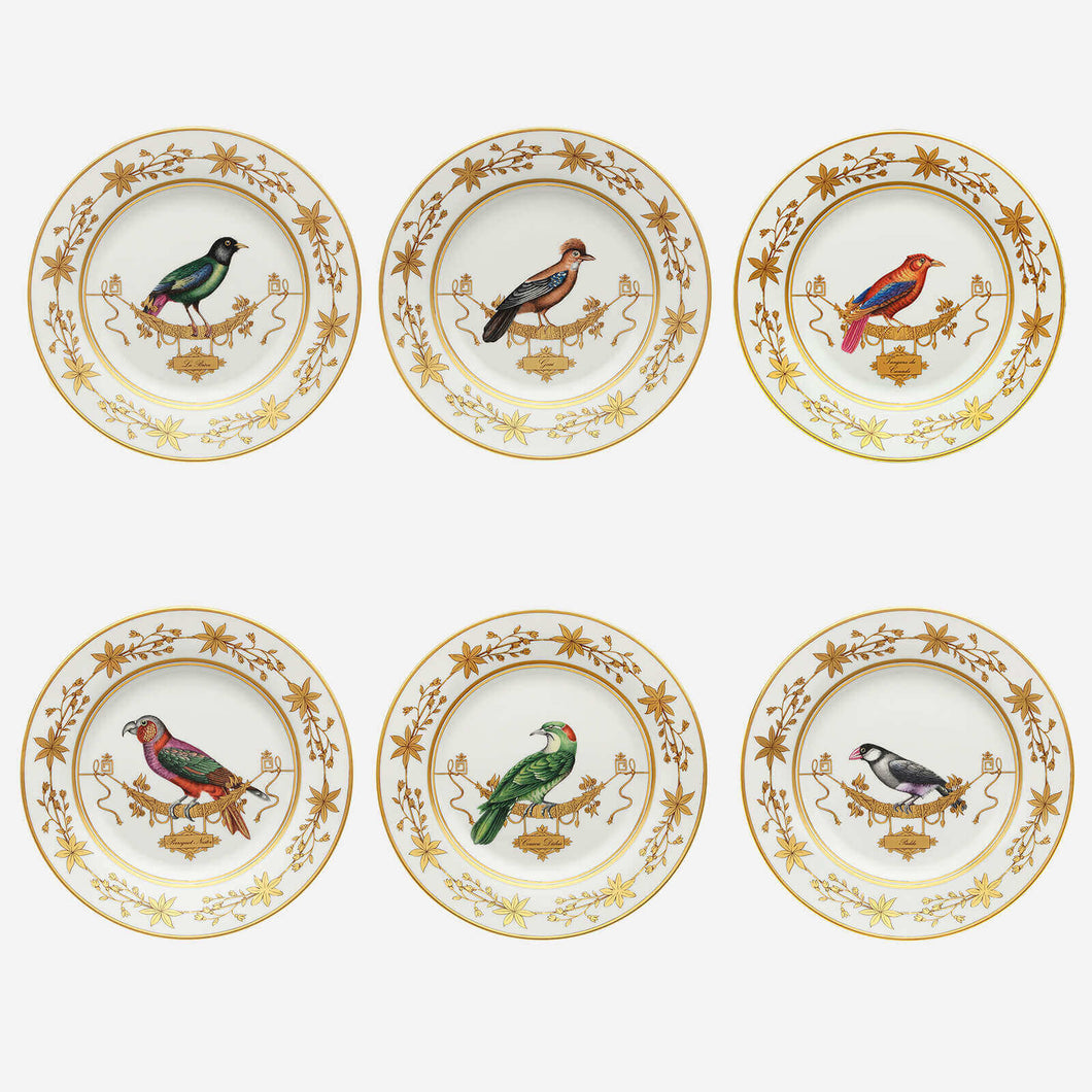 Volière Bird Dinner Plate - Set of 6