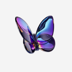 Blue Scarab Papillon Lucky Butterfly