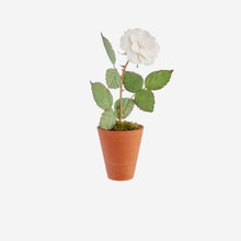 Load image into Gallery viewer, Porcelain Rose in Terracotta
