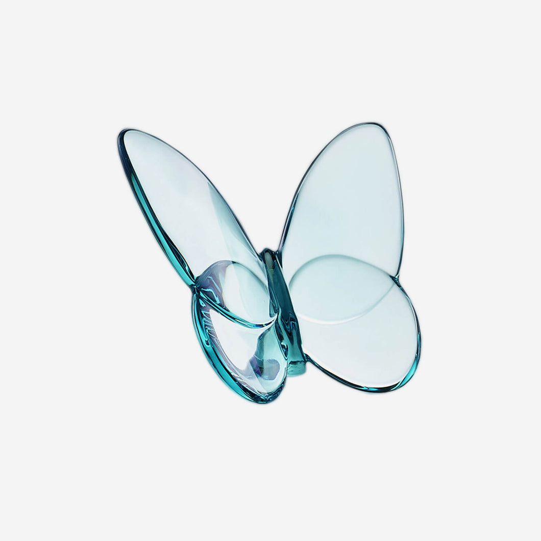 Turquoise Papillon Lucky Butterfly