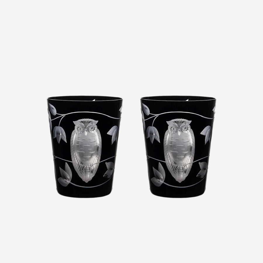 Artel Night Owl Tumbler - Set of 2