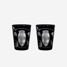 Load image into Gallery viewer, Night Owl Tumbler - Set of 2

