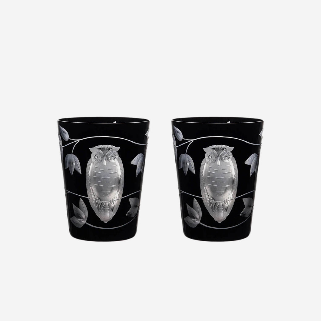 Night Owl Tumbler - Set of 2