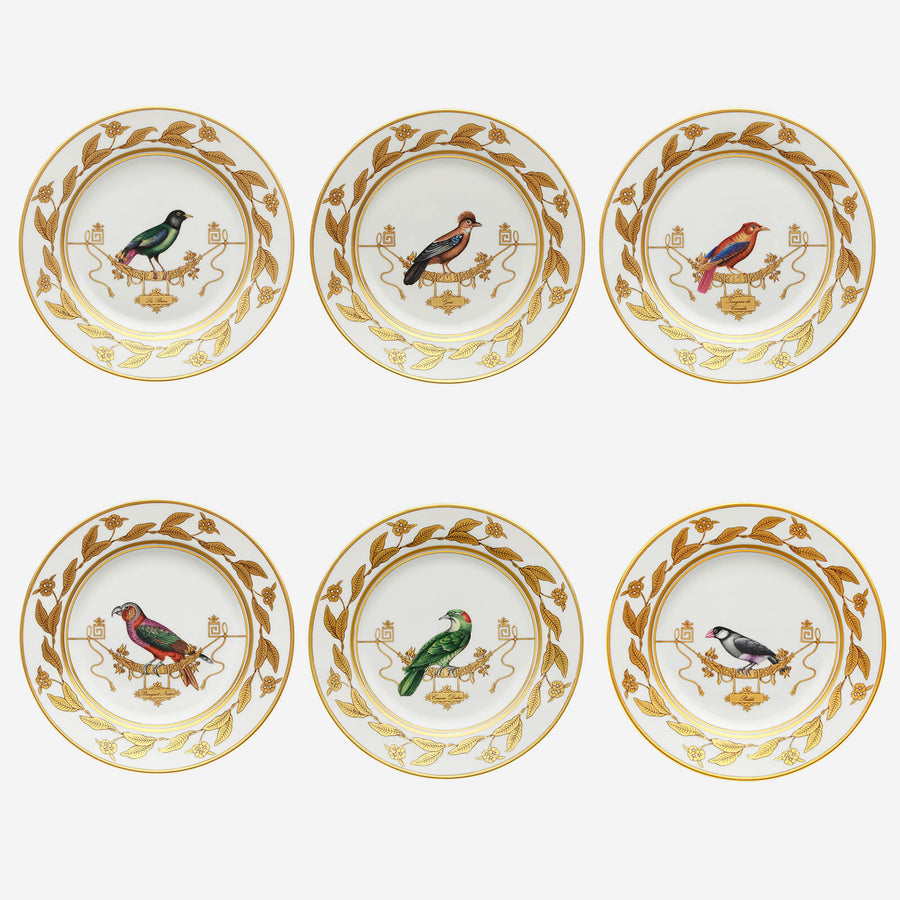 Ginori 1735 Volière Bird Dessert Plate - Set of 6