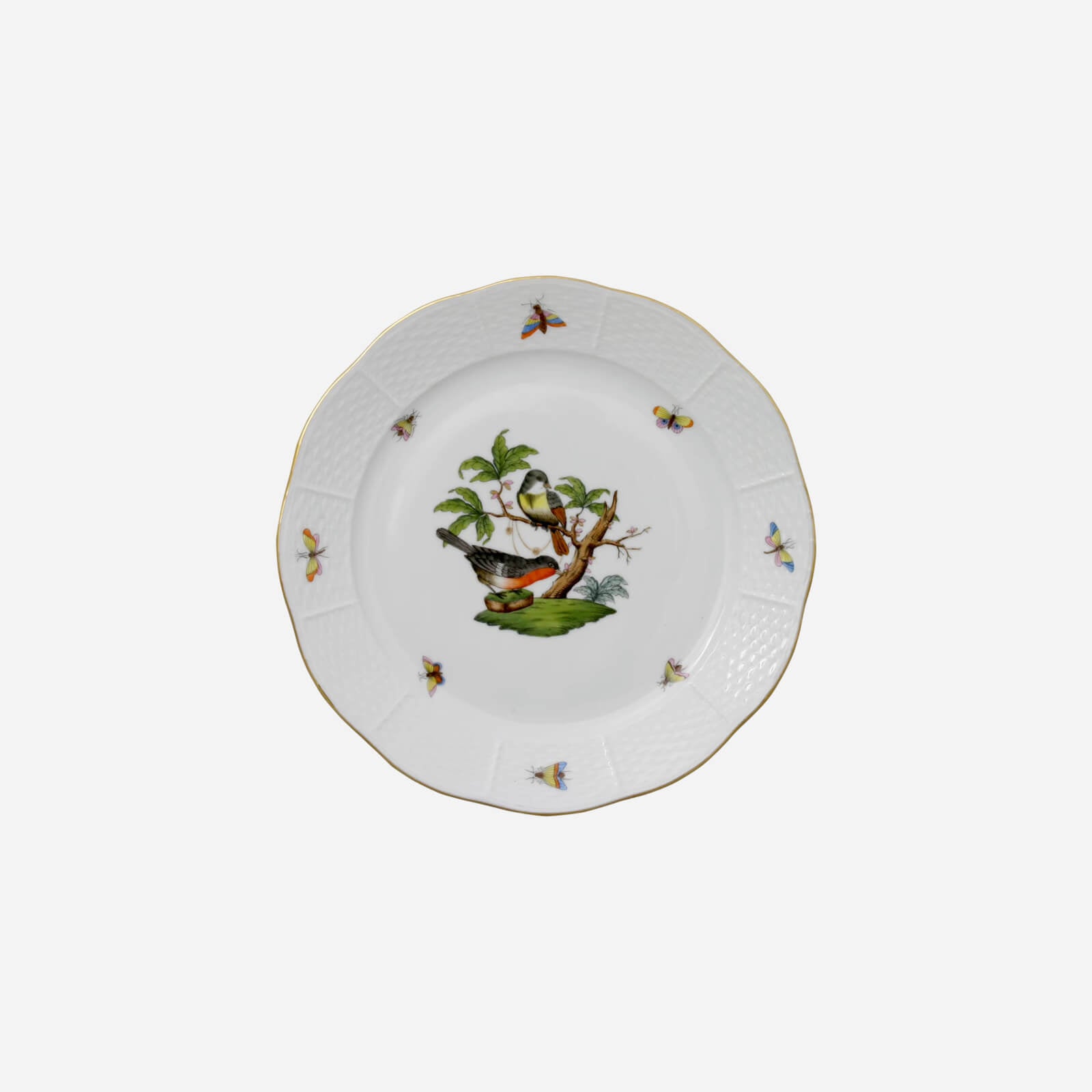 Rothschild Bird Dinner Plate - Set of 6