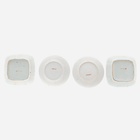 Antique Cabbage & Butterfly Square Plates - Set of 5