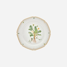 Botanicals Dessert Plate - Set of 6