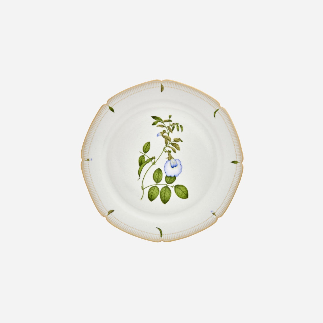 Botanicals Dinner Plate - Set of 6