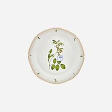 Botanicals Dinner Plate - Set of 6