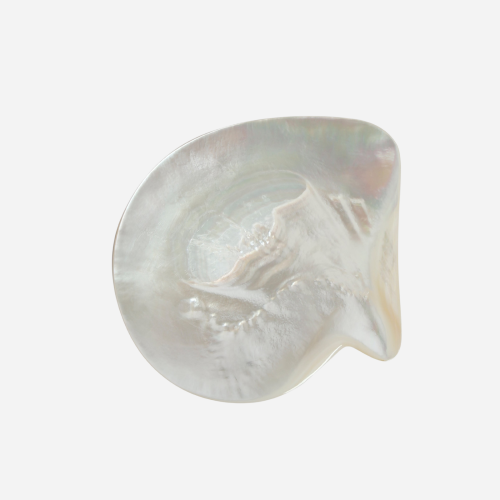 Mother of Pearl Caviar Plate