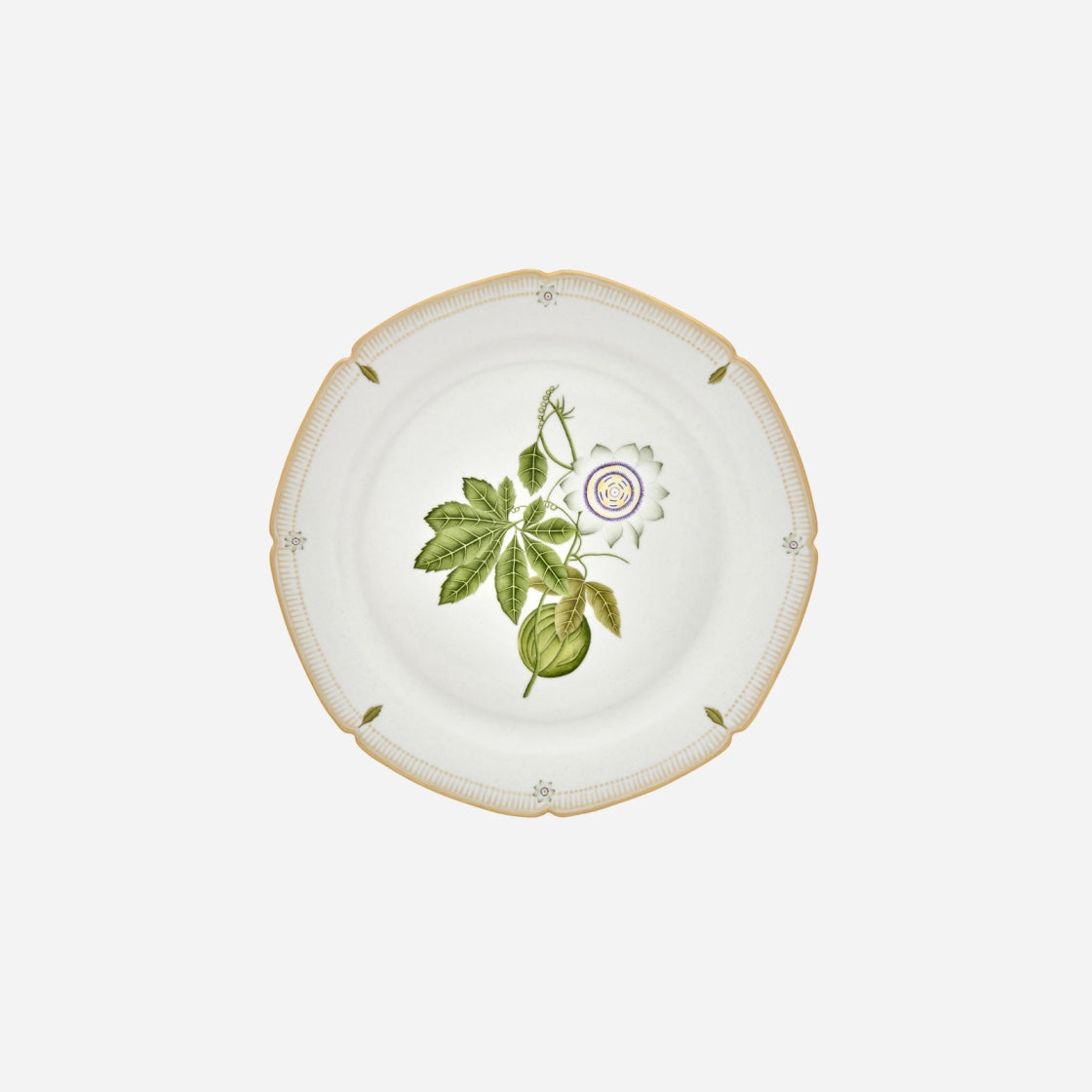Botanicals Dinner Plate - Set of 6