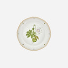 Botanicals Dinner Plate - Set of 6