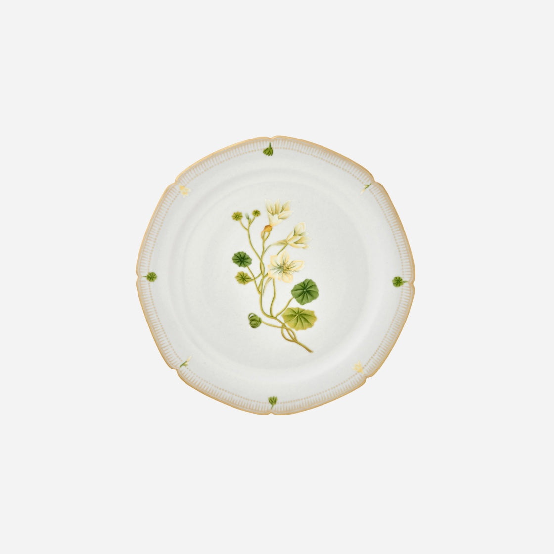 Botanicals Dinner Plate - Set of 6