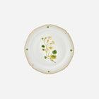 Botanicals Dinner Plate - Set of 6
