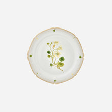 Botanicals Dinner Plate - Set of 6