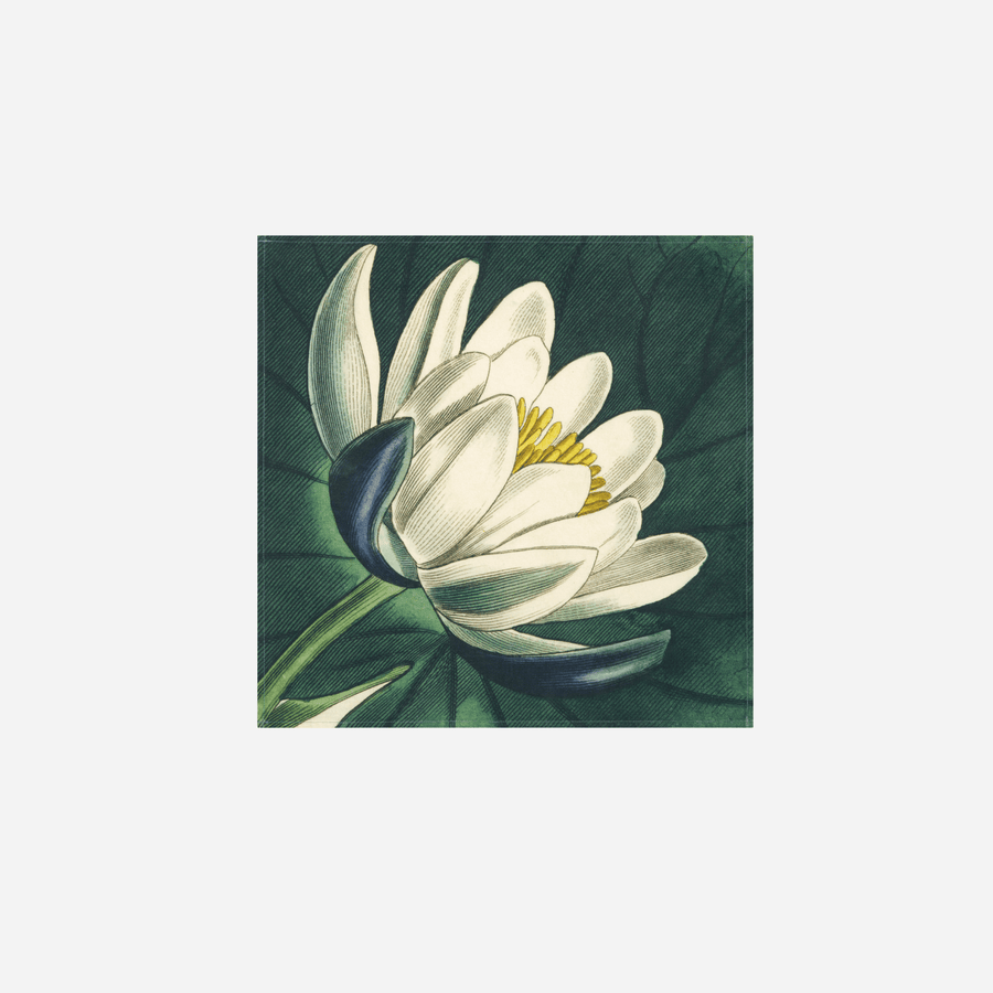 Summerill & Bishop Lotus Linen Napkin