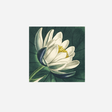 Load image into Gallery viewer, Lotus Linen Napkin
