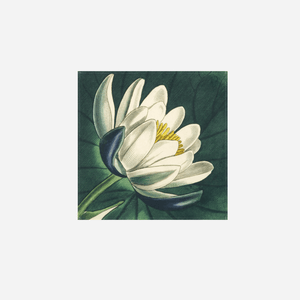 Lotus Linen Napkin