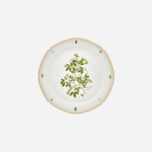 Botanicals Dinner Plate - Set of 6