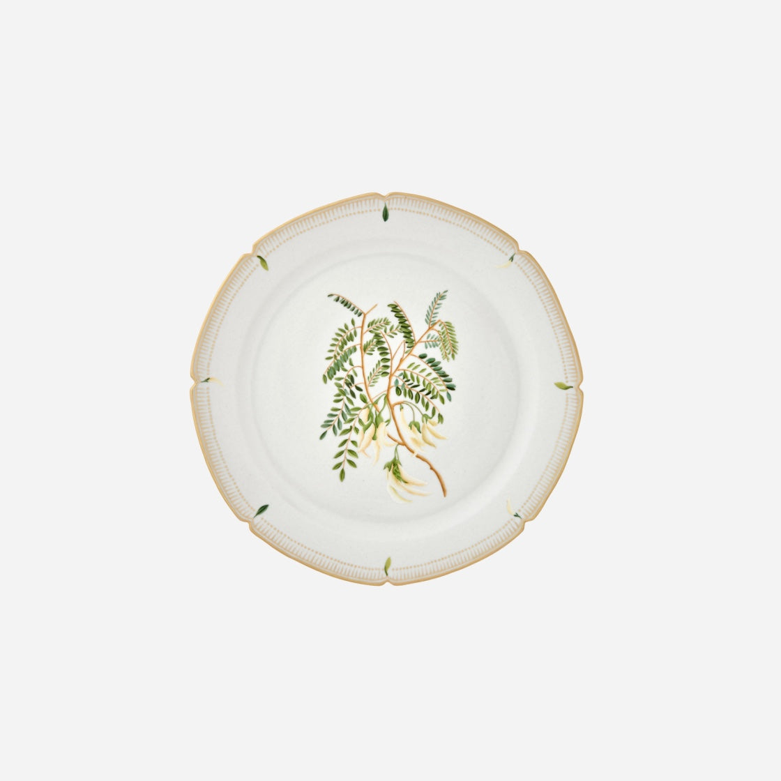 Botanicals Dinner Plate - Set of 6