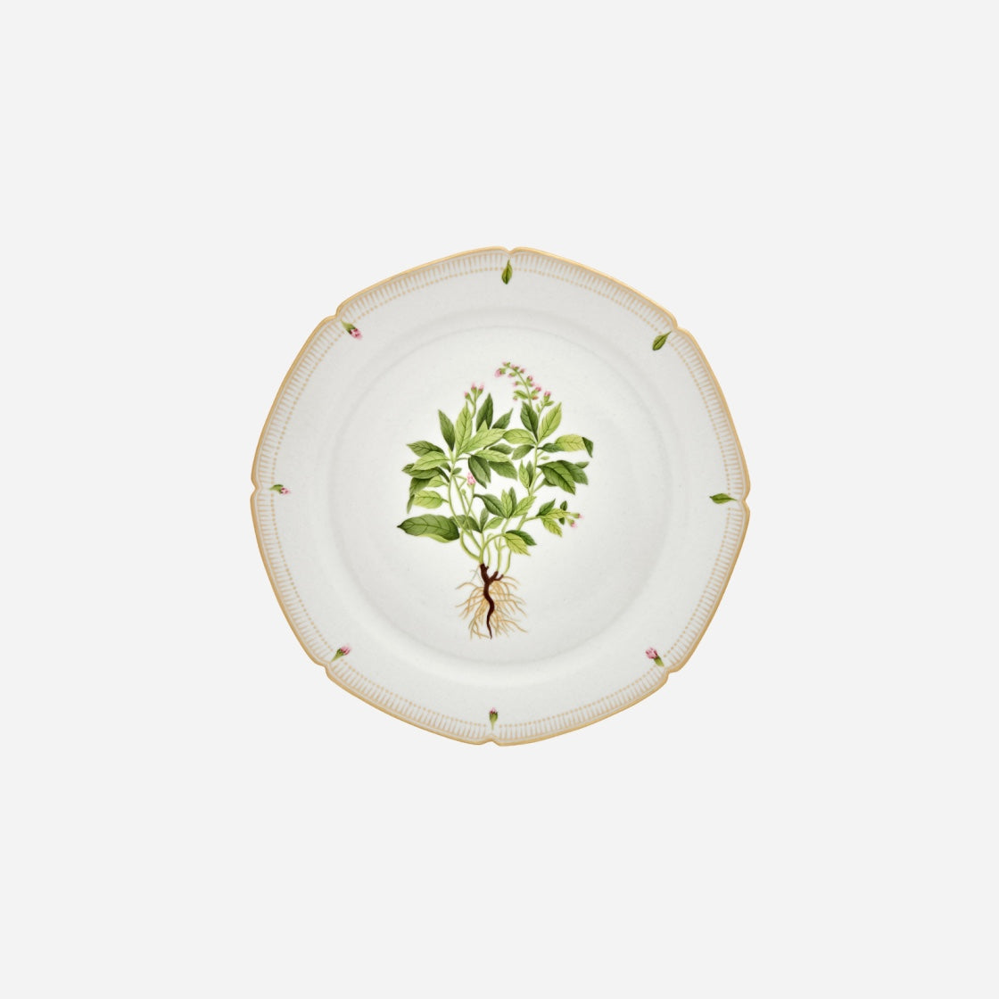 Botanicals Dinner Plate - Set of 6