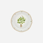 Botanicals Dinner Plate - Set of 6