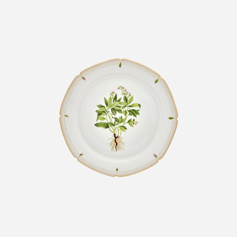 de Gournay Botanicals Dinner Plate - Set of 6