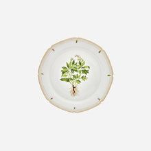 Load image into Gallery viewer, Botanicals Dinner Plate - Set of 6
