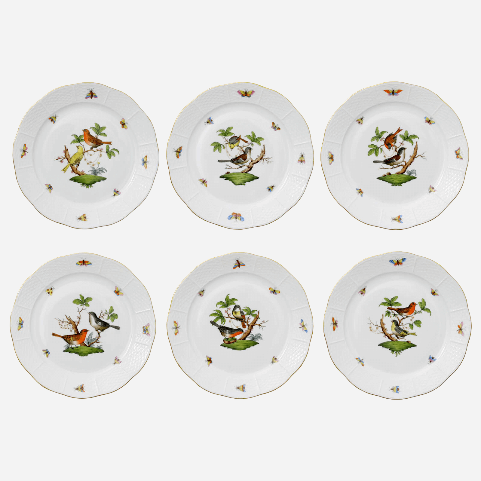 Rothschild Bird Dinner Plate - Set of 6