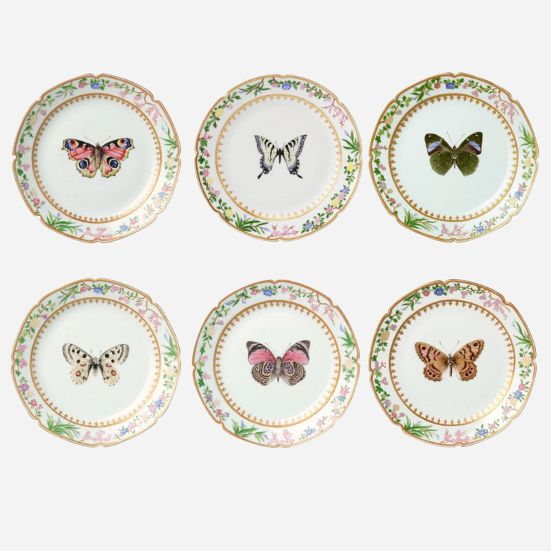 Flora Britannica Dessert Plate - Set of 6