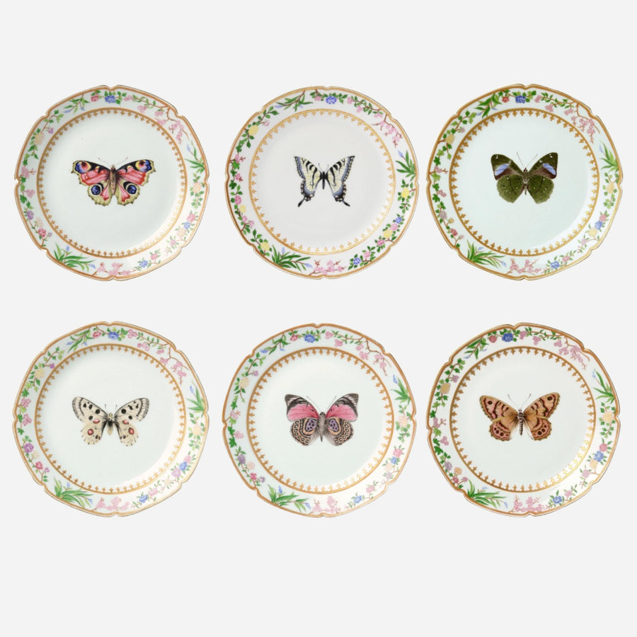 de Gournay Flora Britannica Dessert Plate - Set of 6