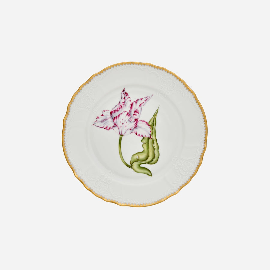 Anna Weatherley Old Master Tulips Dinner Plate - Set of 4