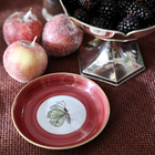 Jardins d’Udaipur Butterfly Bread Plate - Berry Red