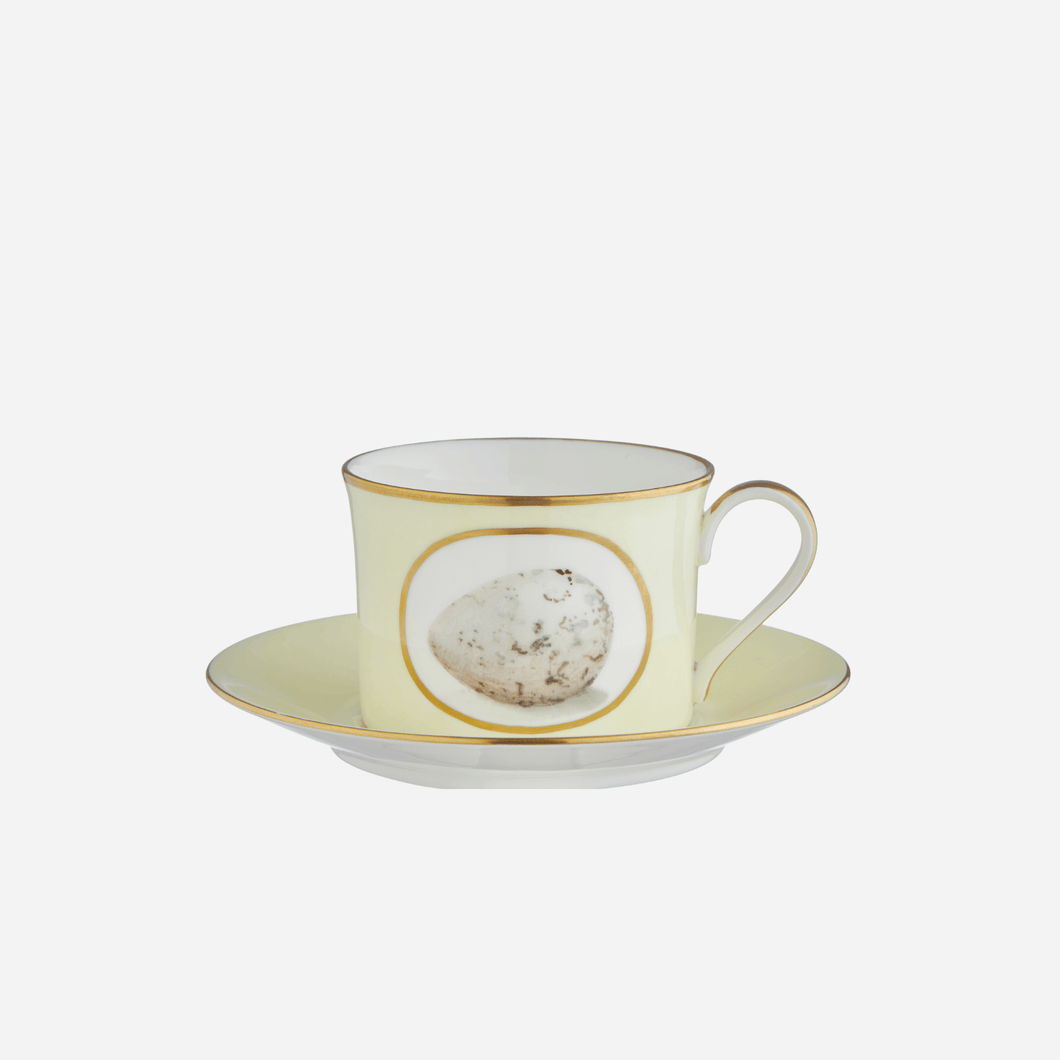 Egg & Feather Teacup & Saucer Large
