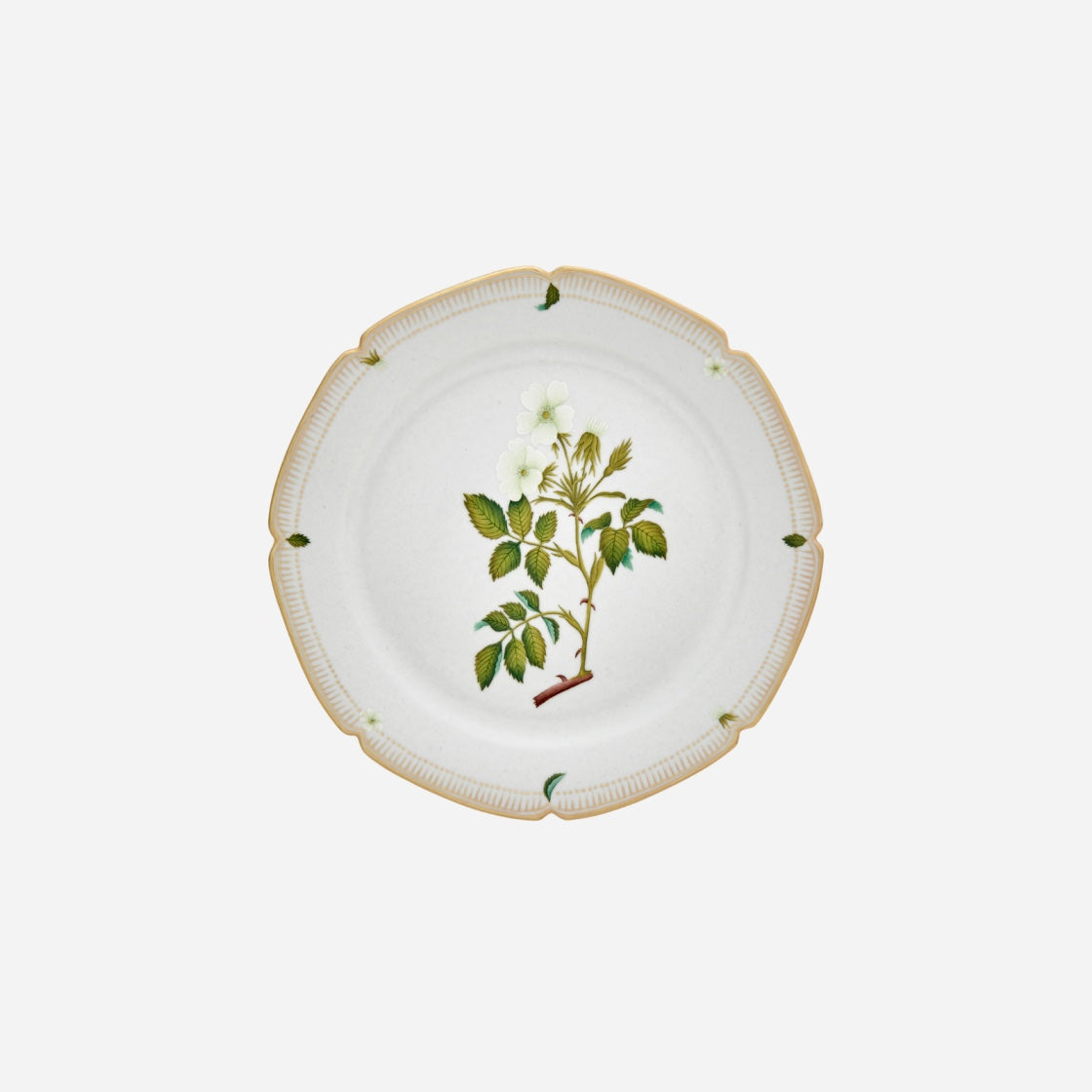 Botanicals Dessert Plate - Set of 6