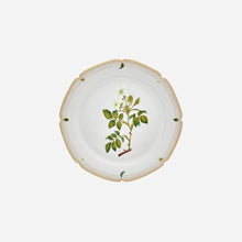 Botanicals Dessert Plate - Set of 6