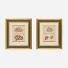 A Pair of Antique Pressed Seaweed Artworks