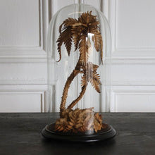 Edwardian Leather Palm Tree with Cloche