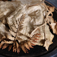 Edwardian Leather Palm Tree with Cloche